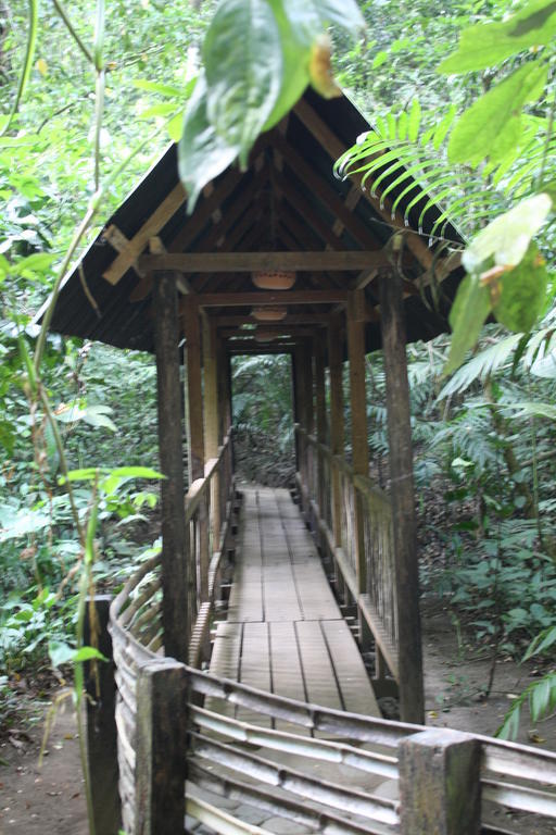 Reserva Ecologica Nanciyaga Catemaco Esterno foto