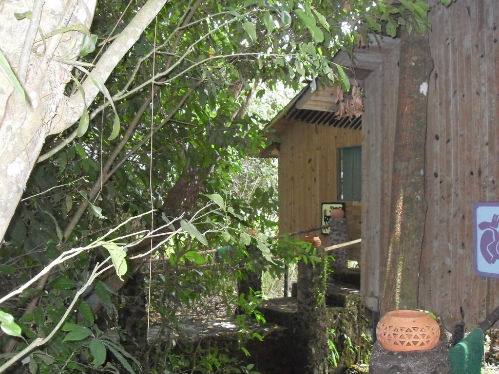 Reserva Ecologica Nanciyaga Catemaco Camera foto
