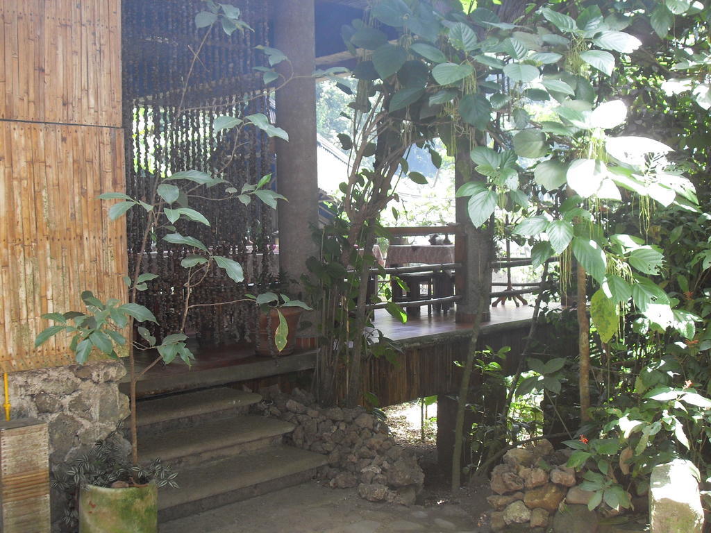 Reserva Ecologica Nanciyaga Catemaco Esterno foto