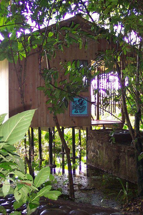 Reserva Ecologica Nanciyaga Catemaco Esterno foto