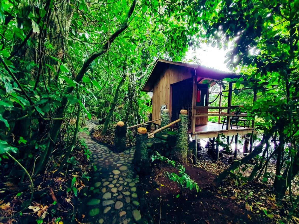 Reserva Ecologica Nanciyaga Catemaco Esterno foto